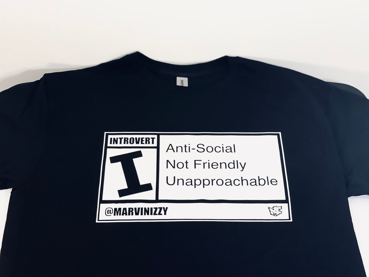 Introvert Gamer T-Shirt